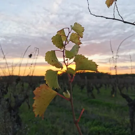 La Grange De Cablanc Bed & Breakfast