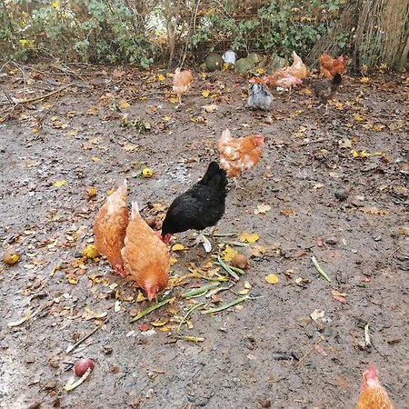 La Grange De Cablanc Bed & Breakfast