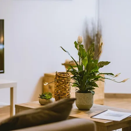 Bed & Breakfast La Grange De Cablanc Monestier (Dordogne)