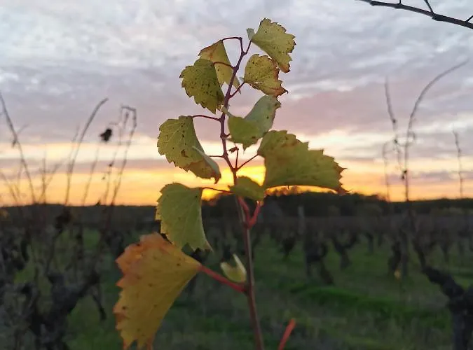 La Grange De Cablanc ベッド・アンド・ブレックファスト