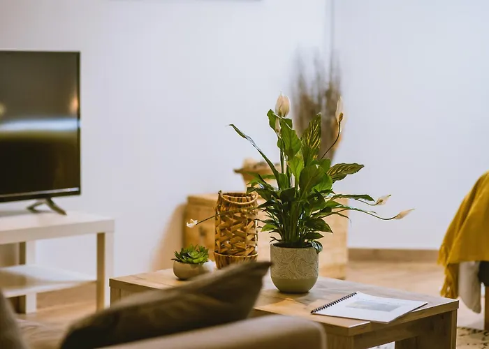 ベッド・アンド・ブレックファスト La Grange De Cablanc Monestier